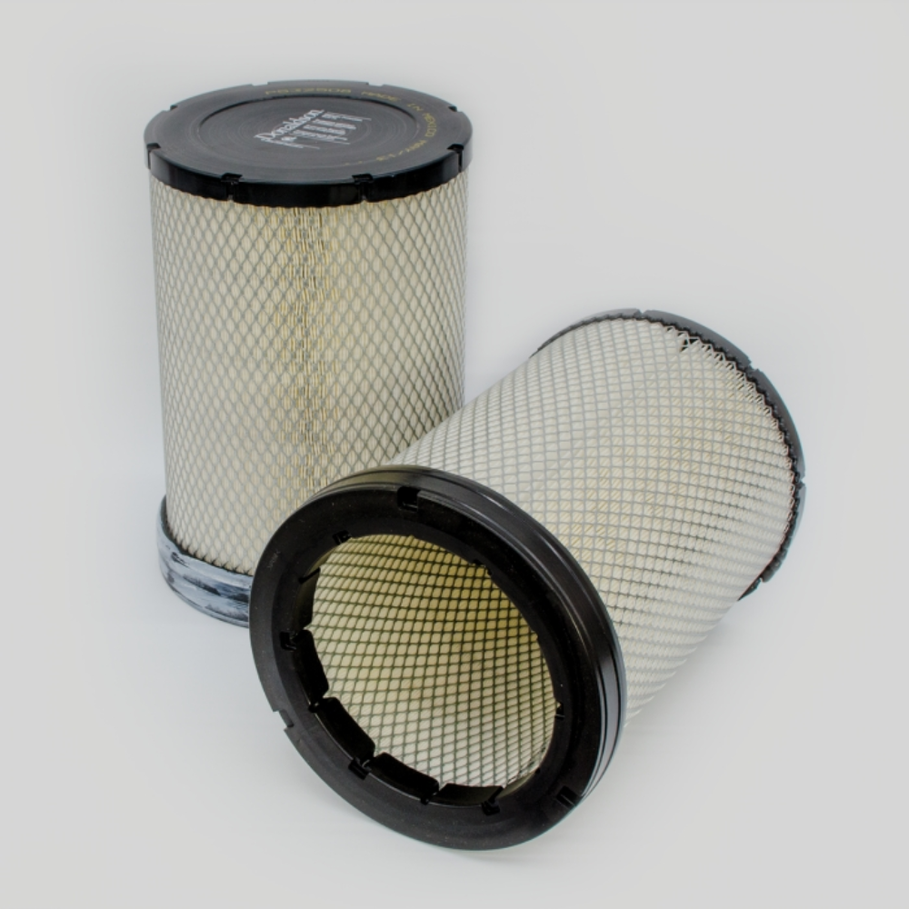 Donaldson P532508 Air Filter Automotive