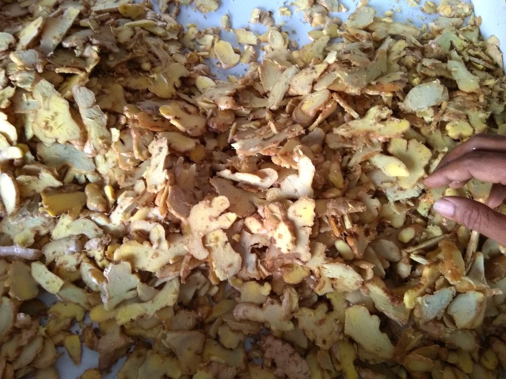 Ginger Slicer Machine - Capacity: 500-700 Kg /Hr Kg/hr