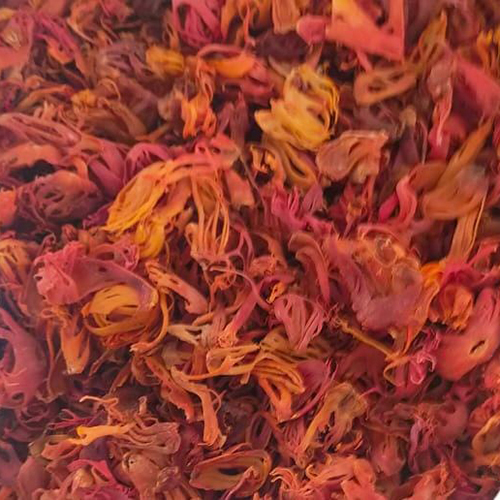 Mace Phool - Color: Brown