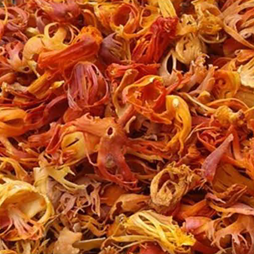 Mace Phool - Color: Brown