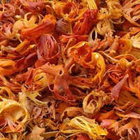 Mace Phool