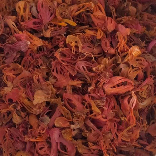 Mace Phool - Color: Brown