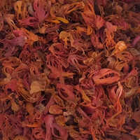 Mace Phool