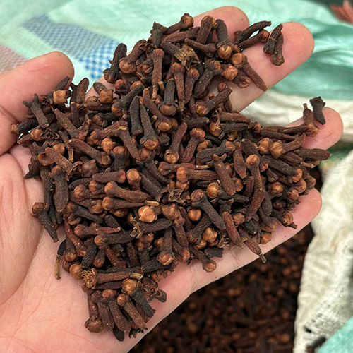 Whole Cloves - Food Grade Raw Whole Pieces | Brown Color, Shelf Life Of Up To 24 Months, Available In 10 Kg Boxes And 50 Kg Bags