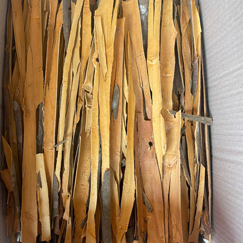 Split Cassia