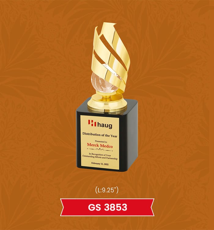 Corporate Award