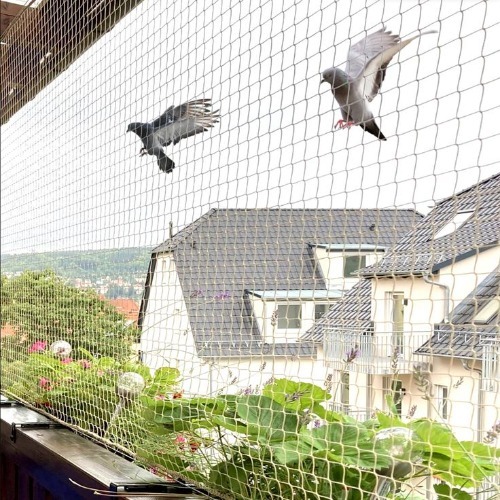 Anti Bird Control Net