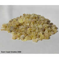 DBB Gum Copal