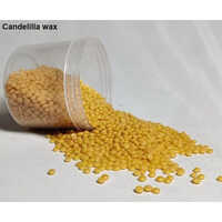 Yellow Candelilla Wax