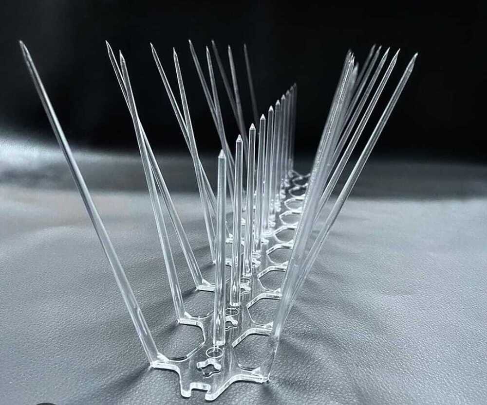 Bird Spikes