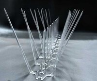 Bird Spikes