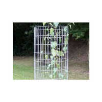 Tree Guard Welded Wire Mesh