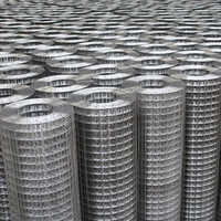 Galvanized Iron Wire Mesh