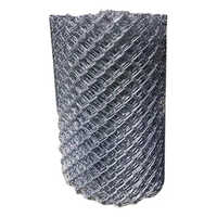 High Grade Iron Wire Mesh