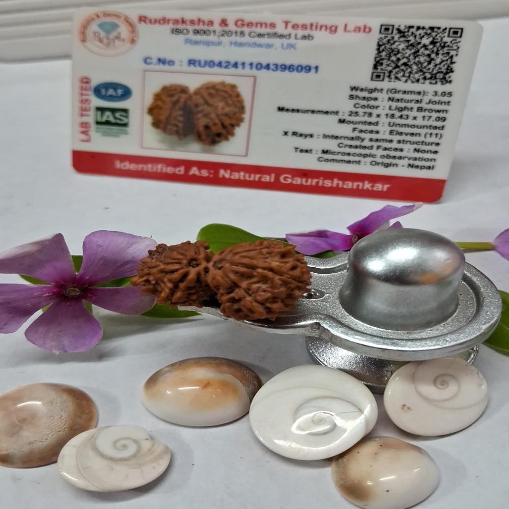 Gauri Shankar Nepali Rudraksha Natural