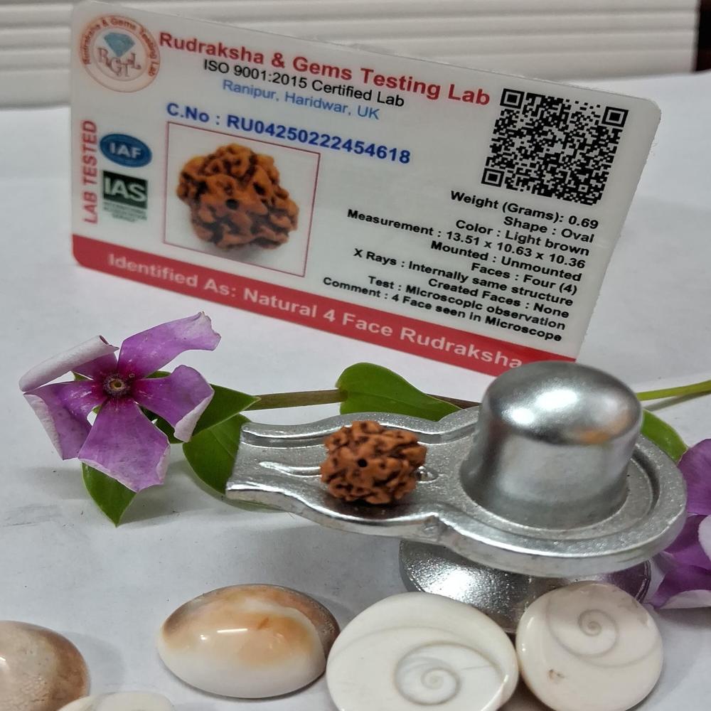 4 mukhi indonasian Rudraksha Natural