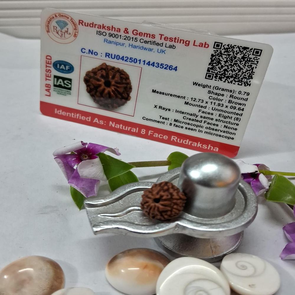 Rudraksha Beads