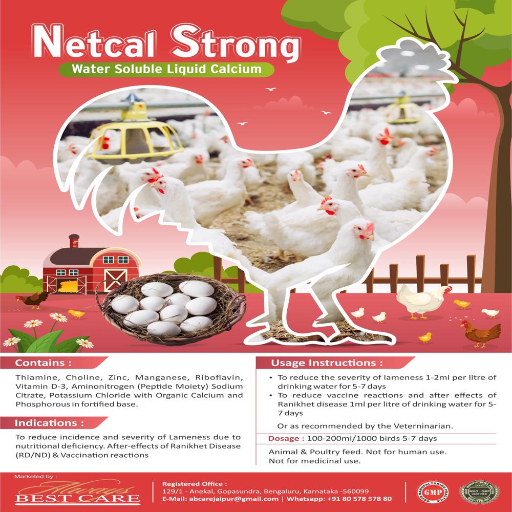 Liquid Calcium Supplement For Poultry - Liquid, Feed Grade , Red Color, Adjustable Dosage, Formulated With Essential Vitamins For Poultry Nutrition