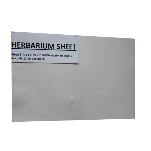 15X11 Inch Herbarium Sheet - Features: Waterproof