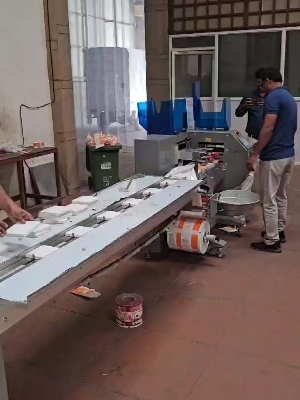 Servo based horizontal flow wrap machine