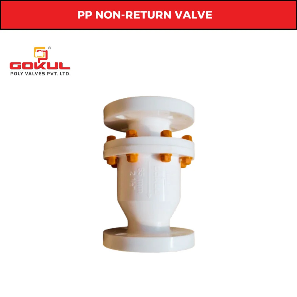 Pp Non Return Valve Flanged 8"