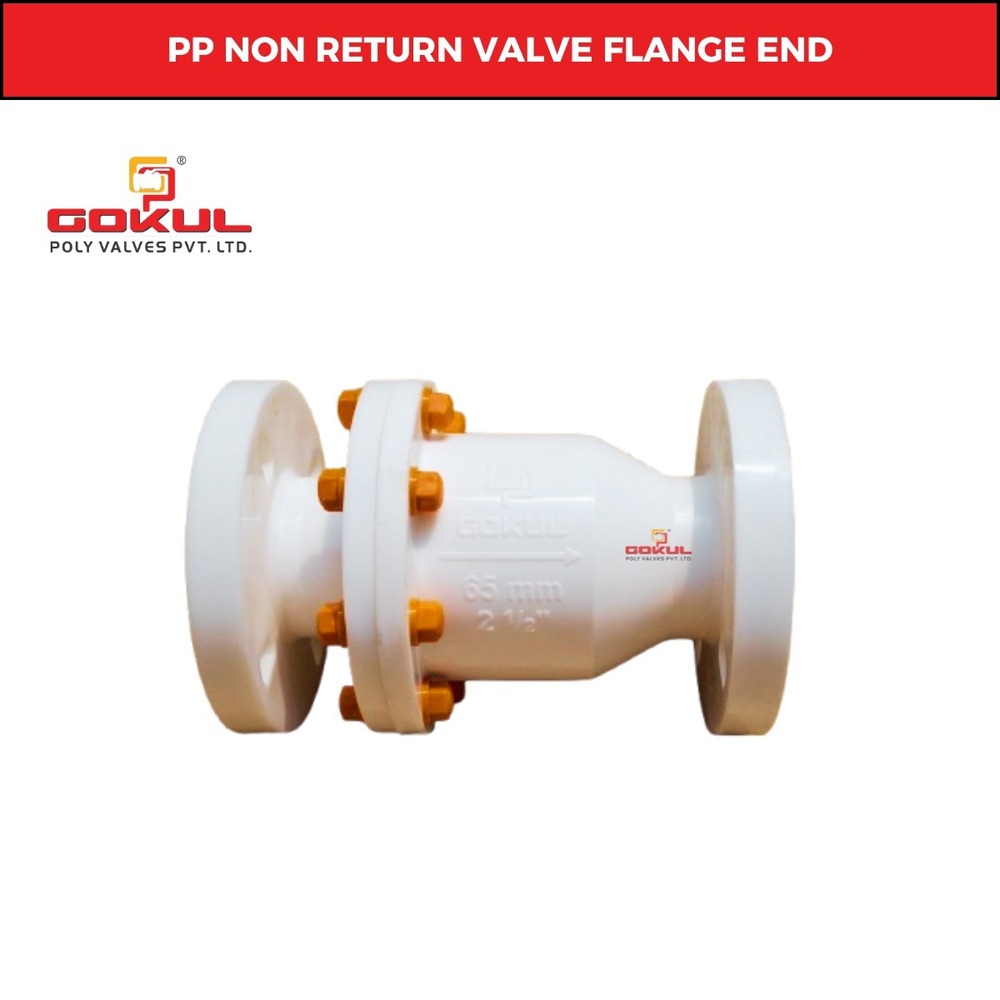 Pp Non Return Valve Screw End 3"