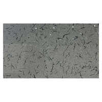 French White Granite - Application: Flooring / Commercial