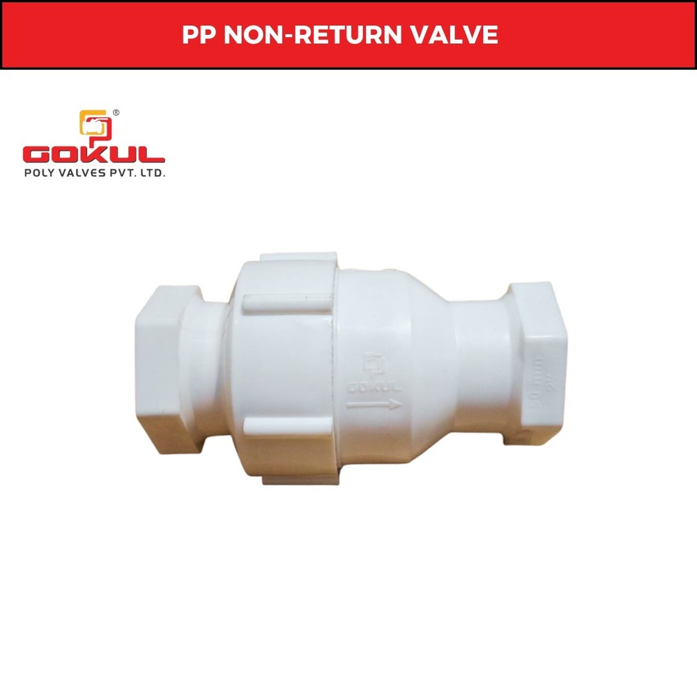 PP Non Return Valve Screw End 4
