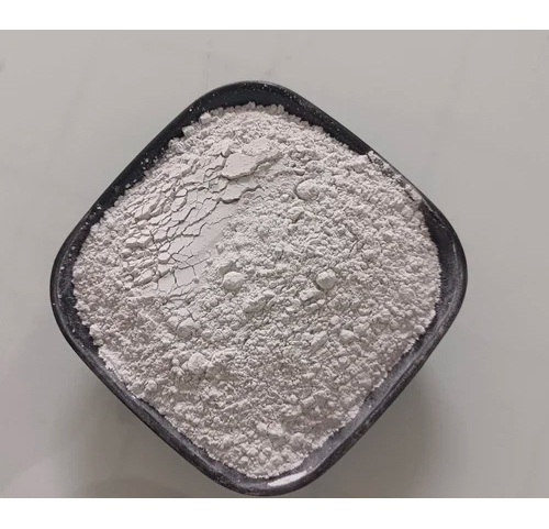 Rhizobium Biofertilizer Powder