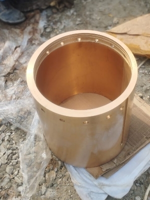 एक्सेंट्रिक बुश