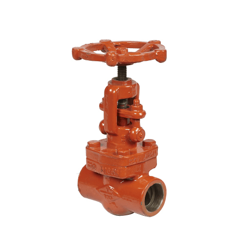 Forged Steel Globe Valve