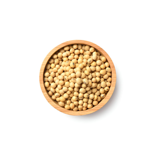 Soybean