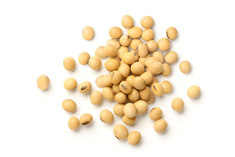 Non GMO Soybeans Seeds