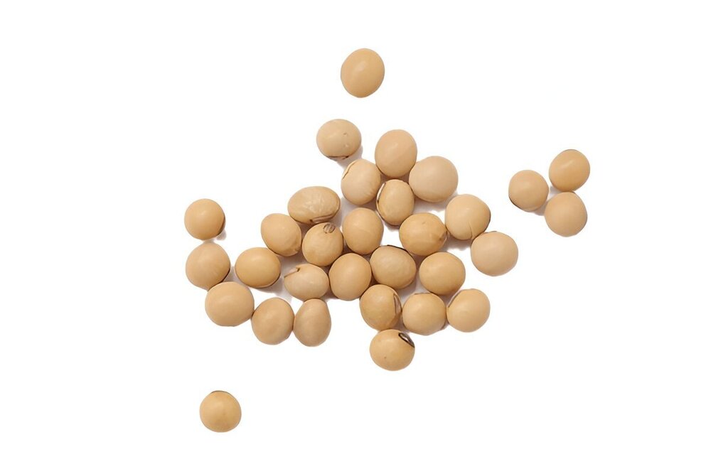 Non GMO Soybeans Seeds