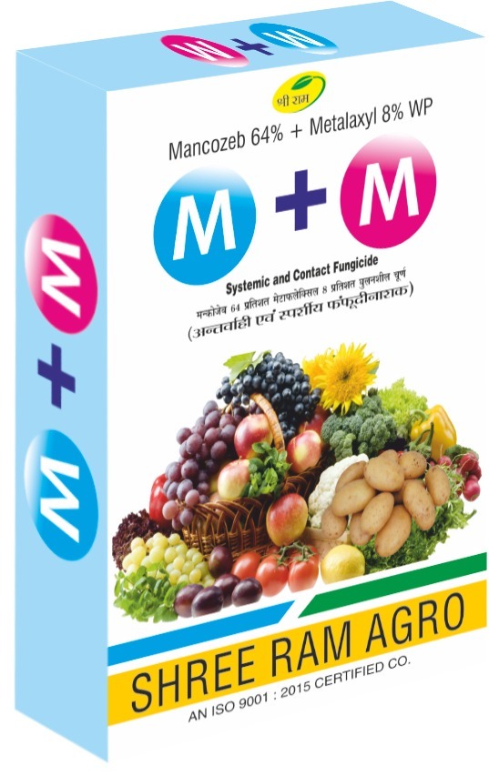 M + M (Mancozeb 64% + Metalaxyl 8% WP)
