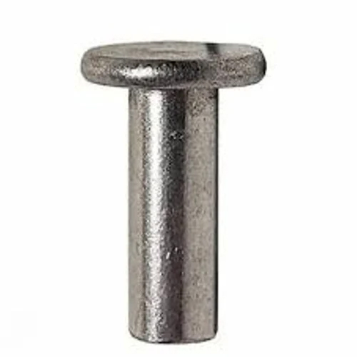 MS Flat Head Rivets