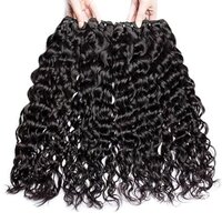 100% Brazilian Virgin Remy Hair Water Curly 4 Bundles Human Hair Double Weft for Women Natural Black