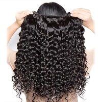 100% Brazilian Virgin Remy Hair Water Curly 4 Bundles Human Hair Double Weft for Women Natural Black