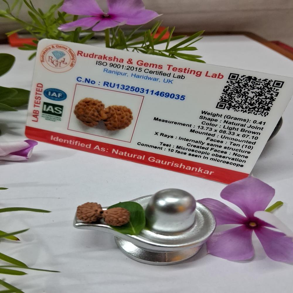 Gauri Shankar indonasian Rudraksha Natural