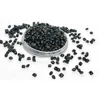 Pp Plastic Dana - Color: Black