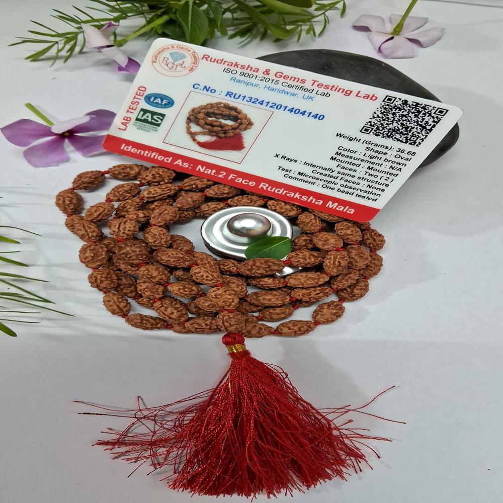 2 mukhi indonasian Rudraksha Mala