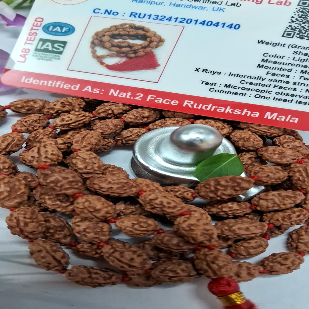 2 mukhi indonasian Rudraksha Mala