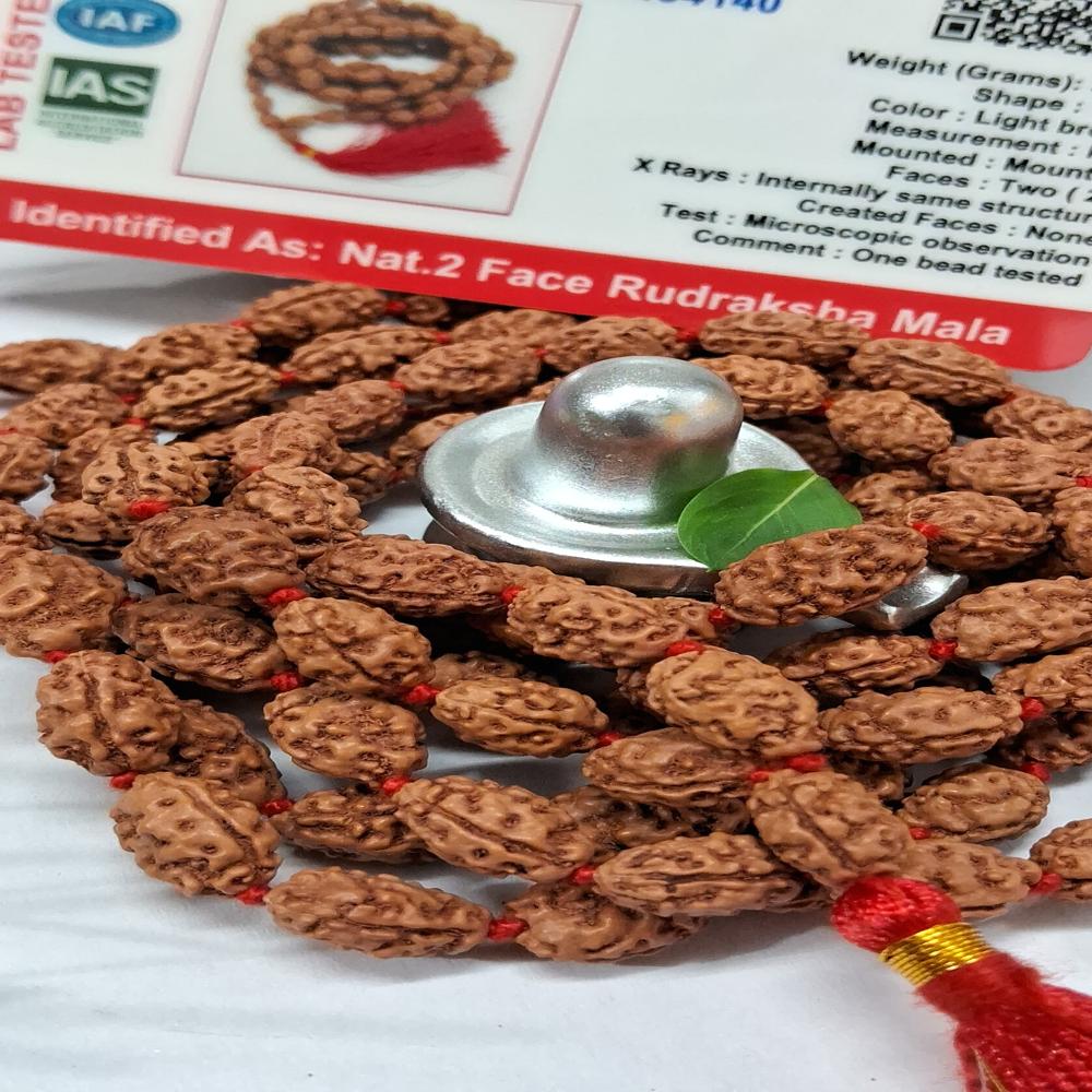 2 mukhi indonasian Rudraksha Mala