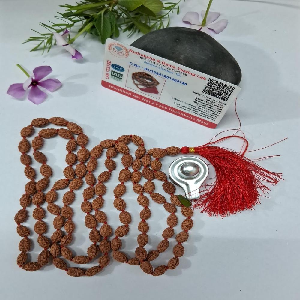 2 mukhi indonasian Rudraksha Mala