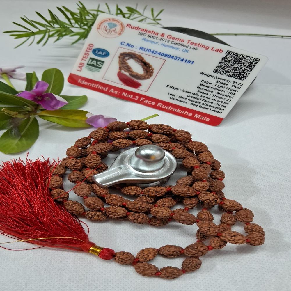 3 mukhi indonasian Rudraksha Mala