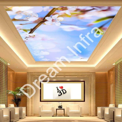Gyms Stretch Ceilings