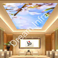 Gyms Stretch Ceilings - Color: Any Color