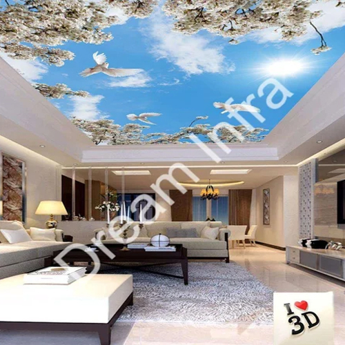 Dream Infra Stretch Ceiling