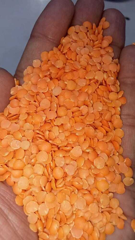 मसूर दाल