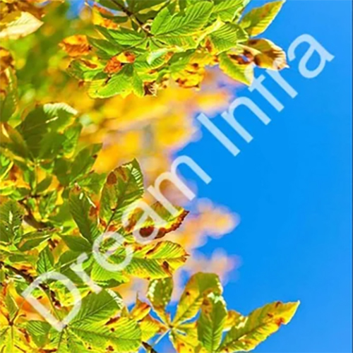 Stretch Ceiling For Prefabricated Structure - Color: Multicolor